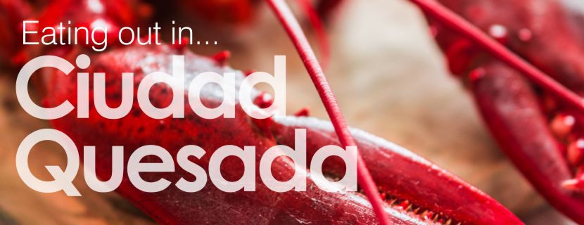 Blog Image for Comer en ... Ciudad Quesada A Life in Spain