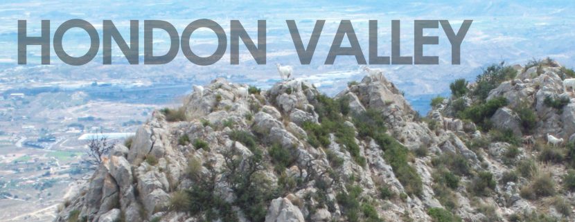 Blog Image for Hondon Valley: waar droomhuizen uitkomen ... A Life in Spain