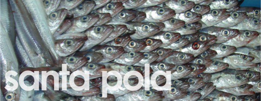 Blog Image for A Fish Lover’s Paradise... Santa Pola A Life in Spain