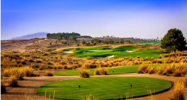 Blog Image for Alhama Unterschrift Golf A Life in Spain