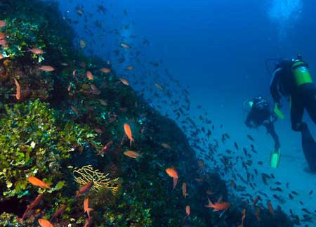 Scuba Diving: Cabo de Gata featured Image
